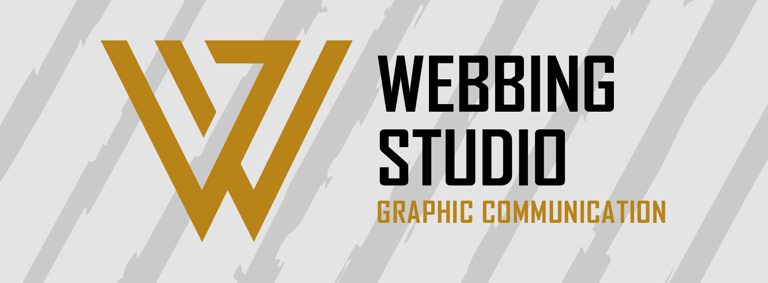 bandeau-webbing-studio-large-002